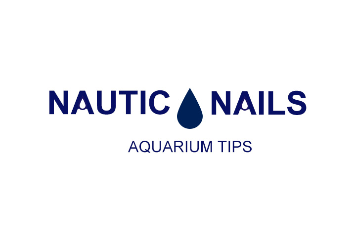 nautic nails